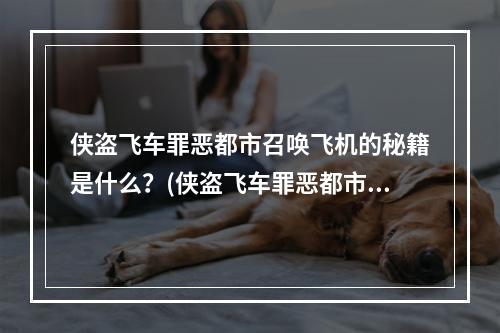 侠盗飞车罪恶都市召唤飞机的秘籍是什么？(侠盗飞车罪恶都市飞机秘籍)