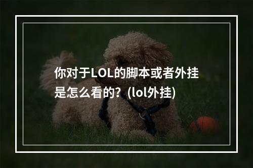 你对于LOL的脚本或者外挂是怎么看的？(lol外挂)