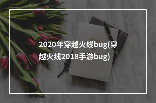 2020年穿越火线bug(穿越火线2018手游bug)