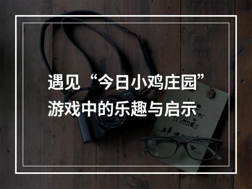 遇见“今日小鸡庄园”游戏中的乐趣与启示