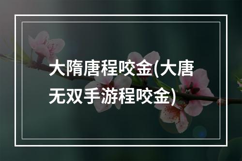 大隋唐程咬金(大唐无双手游程咬金)