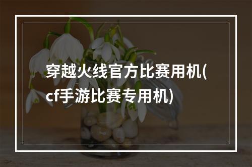 穿越火线官方比赛用机(cf手游比赛专用机)