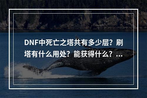 DNF中死亡之塔共有多少层？刷塔有什么用处？能获得什么？(死亡之塔)