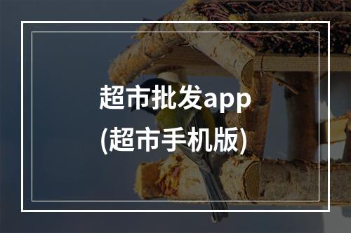 超市批发app(超市手机版)