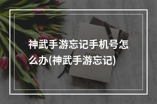 神武手游忘记手机号怎么办(神武手游忘记)