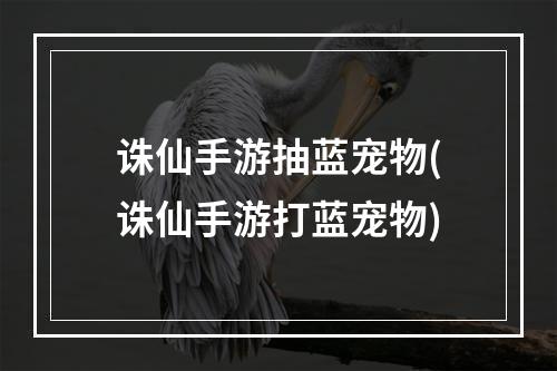 诛仙手游抽蓝宠物(诛仙手游打蓝宠物)