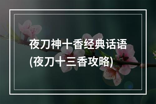 夜刀神十香经典话语(夜刀十三香攻略)