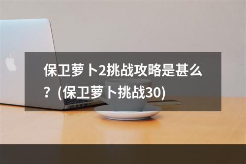 保卫萝卜2挑战攻略是甚么？(保卫萝卜挑战30)