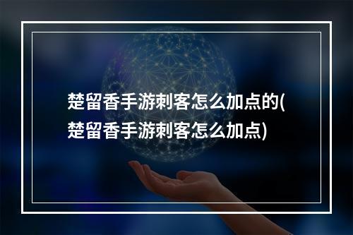 楚留香手游刺客怎么加点的(楚留香手游刺客怎么加点)