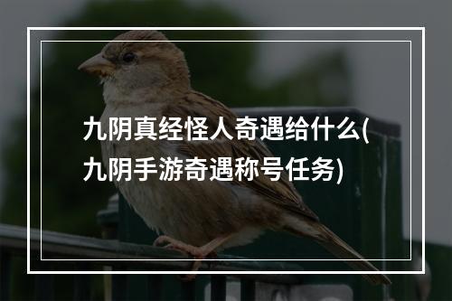 九阴真经怪人奇遇给什么(九阴手游奇遇称号任务)