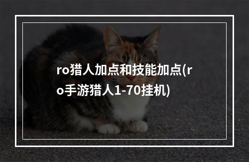 ro猎人加点和技能加点(ro手游猎人1-70挂机)