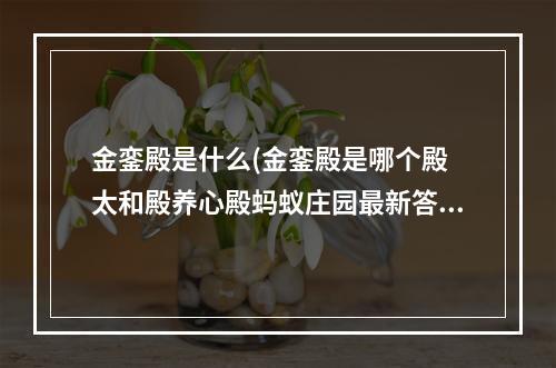 金銮殿是什么(金銮殿是哪个殿 太和殿养心殿蚂蚁庄园最新答案)