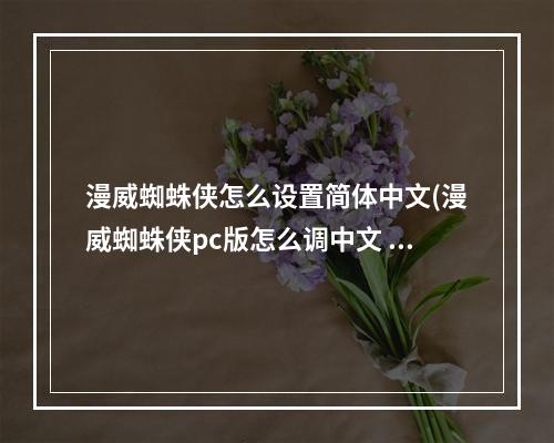 漫威蜘蛛侠怎么设置简体中文(漫威蜘蛛侠pc版怎么调中文 pc版中文设置方法 漫威蜘蛛侠)