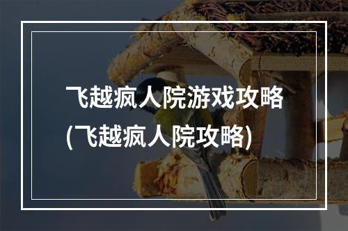 飞越疯人院游戏攻略(飞越疯人院攻略)