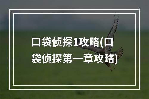 口袋侦探1攻略(口袋侦探第一章攻略)