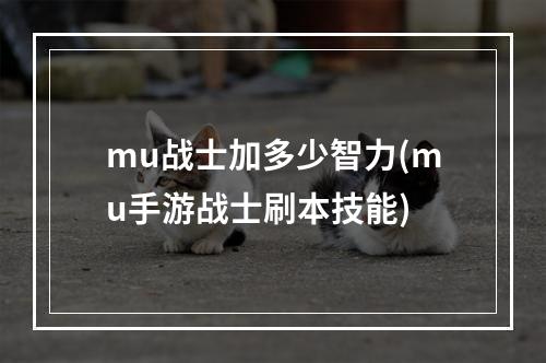 mu战士加多少智力(mu手游战士刷本技能)