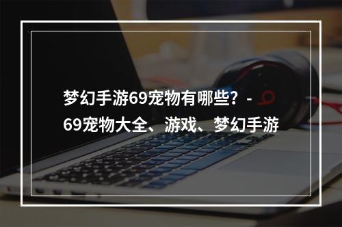 梦幻手游69宠物有哪些？- 69宠物大全、游戏、梦幻手游