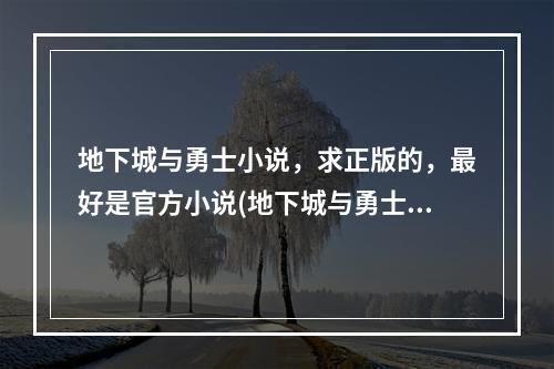 地下城与勇士小说，求正版的，最好是官方小说(地下城与勇士小说)