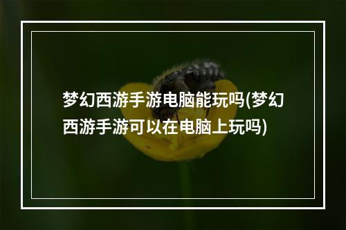 梦幻西游手游电脑能玩吗(梦幻西游手游可以在电脑上玩吗)