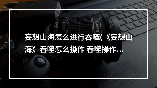 妄想山海怎么进行吞噬(《妄想山海》吞噬怎么操作 吞噬操作方法教程 妄想山海)