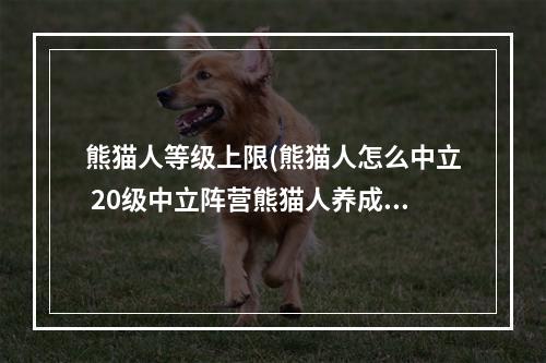 熊猫人等级上限(熊猫人怎么中立 20级中立阵营熊猫人养成攻略)