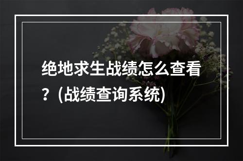 绝地求生战绩怎么查看？(战绩查询系统)