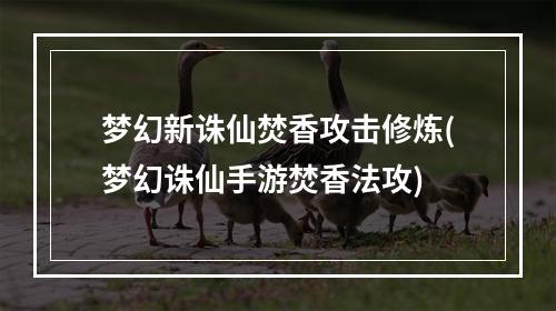 梦幻新诛仙焚香攻击修炼(梦幻诛仙手游焚香法攻)