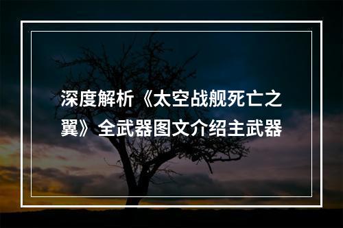 深度解析《太空战舰死亡之翼》全武器图文介绍主武器