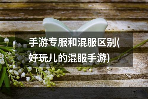 手游专服和混服区别(好玩儿的混服手游)