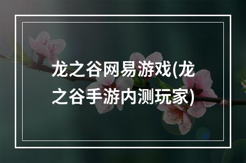 龙之谷网易游戏(龙之谷手游内测玩家)