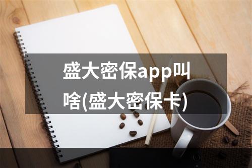 盛大密保app叫啥(盛大密保卡)