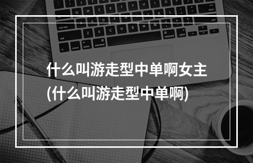 什么叫游走型中单啊女主(什么叫游走型中单啊)