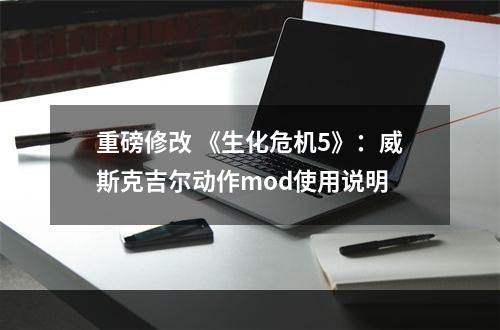 重磅修改 《生化危机5》：威斯克吉尔动作mod使用说明