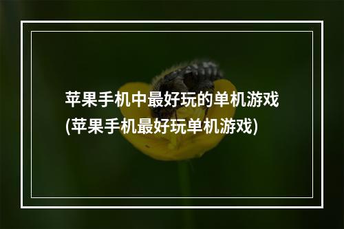 苹果手机中最好玩的单机游戏(苹果手机最好玩单机游戏)