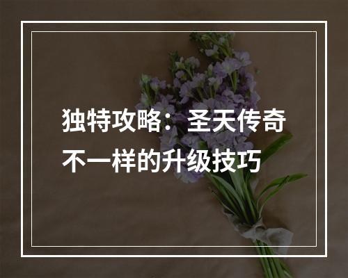 独特攻略：圣天传奇不一样的升级技巧