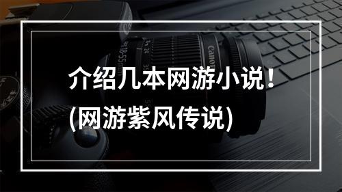 介绍几本网游小说！(网游紫风传说)