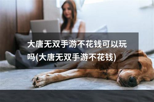 大唐无双手游不花钱可以玩吗(大唐无双手游不花钱)