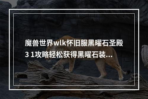 魔兽世界wlk怀旧服黑曜石圣殿3 1攻略轻松获得黑曜石装备(魔兽世界经典版本中黑曜石圣殿攻略再次挑战经典BOSS)