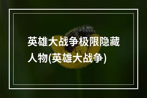 英雄大战争极限隐藏人物(英雄大战争)