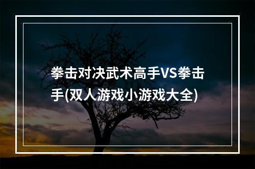 拳击对决武术高手VS拳击手(双人游戏小游戏大全)