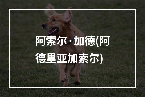 阿索尔·加德(阿德里亚加索尔)