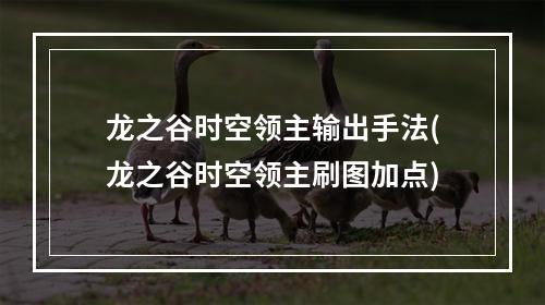 龙之谷时空领主输出手法(龙之谷时空领主刷图加点)