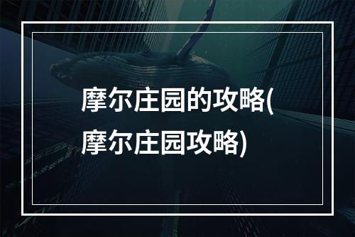 摩尔庄园的攻略(摩尔庄园攻略)