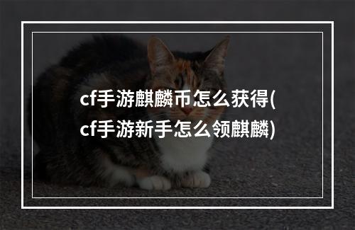 cf手游麒麟币怎么获得(cf手游新手怎么领麒麟)