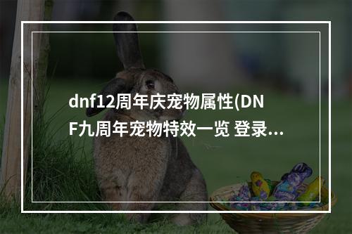 dnf12周年庆宠物属性(DNF九周年宠物特效一览 登录界面有变化)