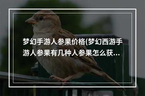 梦幻手游人参果价格(梦幻西游手游人参果有几种人参果怎么获得)