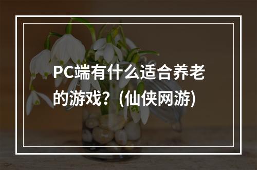 PC端有什么适合养老的游戏？(仙侠网游)