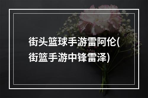 街头篮球手游雷阿伦(街篮手游中锋雷泽)