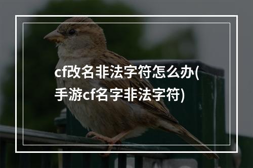 cf改名非法字符怎么办(手游cf名字非法字符)