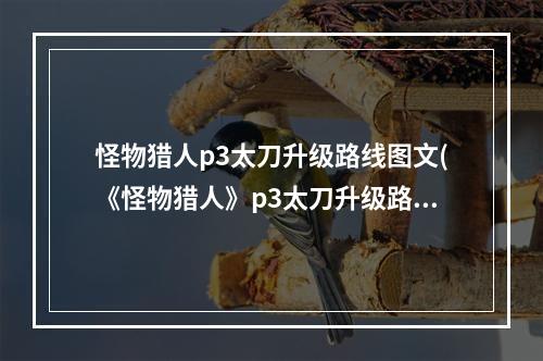 怪物猎人p3太刀升级路线图文(《怪物猎人》p3太刀升级路线介绍 )